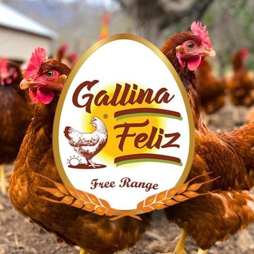 Gallina Feliz
